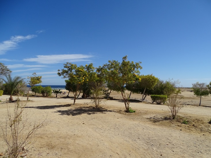 Hotel The Tree Corners.