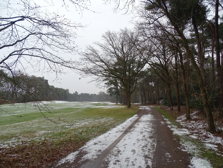 Wandeling boomkikkerpad.