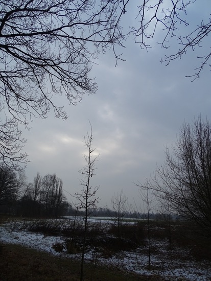 Wandeling boomkikkerpad.