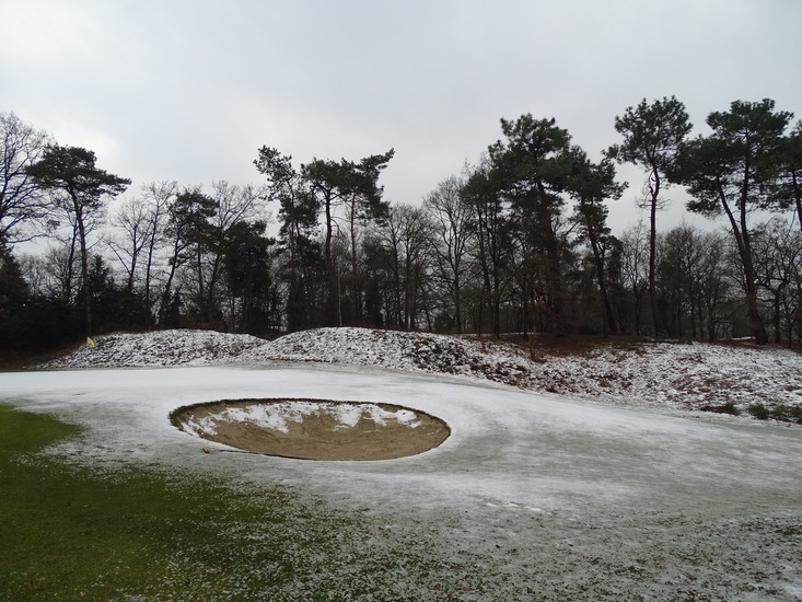 Wandeling boomkikkerpad.