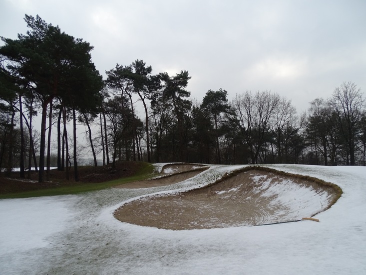 Wandeling boomkikkerpad.