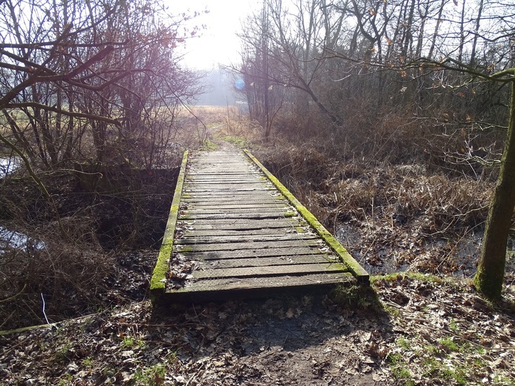 Landgoed Ter Braakloop Oisterwijk.