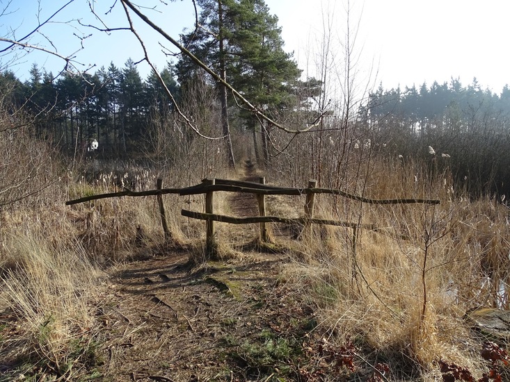 Landgoed Ter Braakloop Oisterwijk.