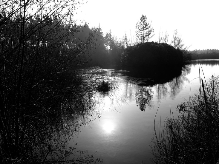 Landgoed Ter Braakloop Oisterwijk.