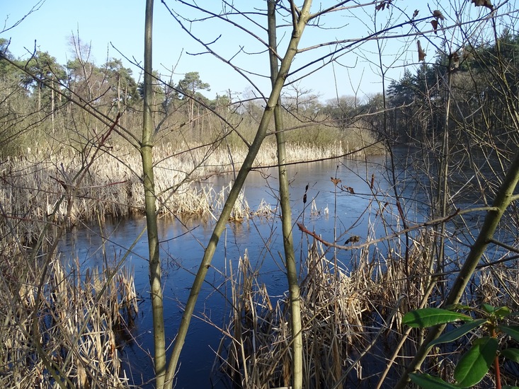 Landgoed Ter Braakloop Oisterwijk.
