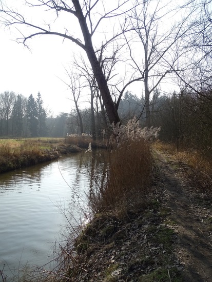 Landgoed Ter Braakloop Oisterwijk.