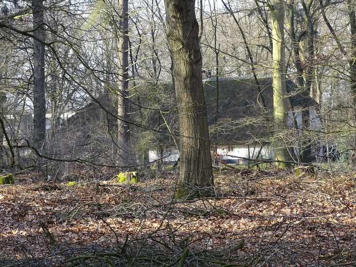 Landgoed Ter Braakloop Oisterwijk.