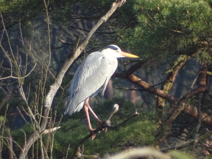 Landgoed Ter Braakloop Oisterwijk.