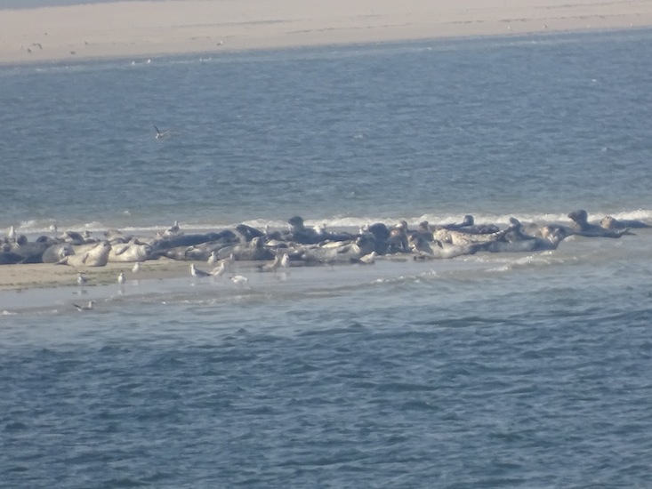 Onderweg naar Den Heler.