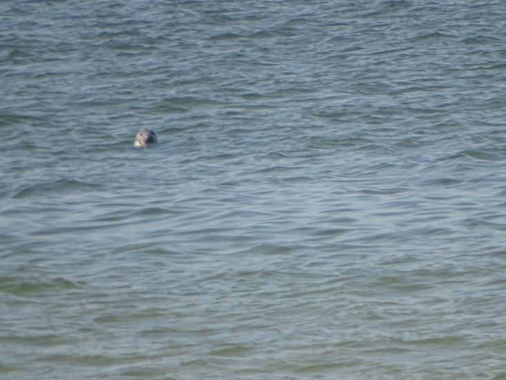 Onderweg naar Den Heler.