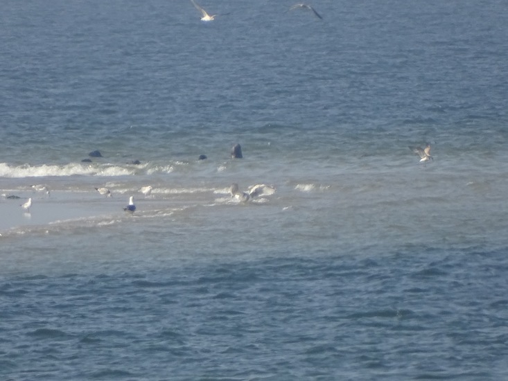 Onderweg naar Den Heler.