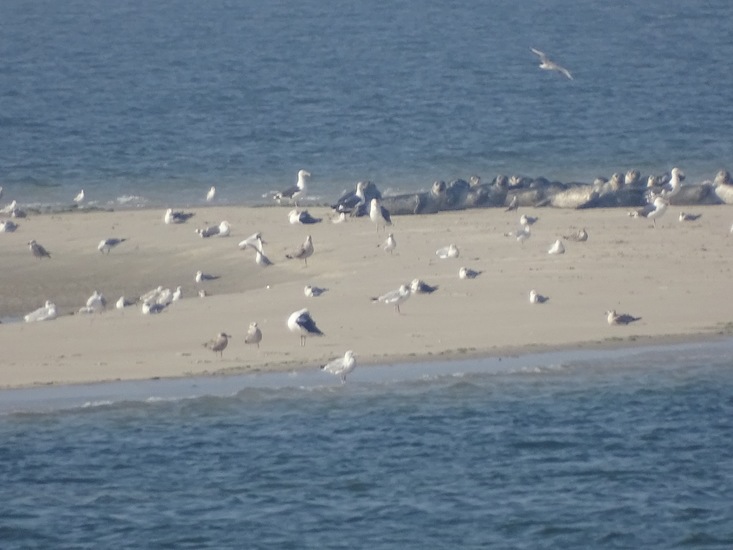 Onderweg naar Den Heler.
