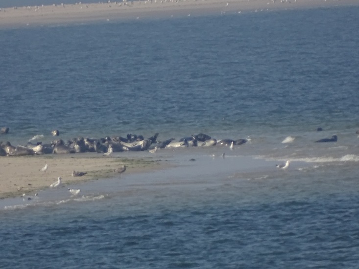 Onderweg naar Den Heler.