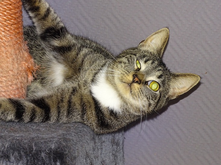 Weekend Sneek, febr. 2017