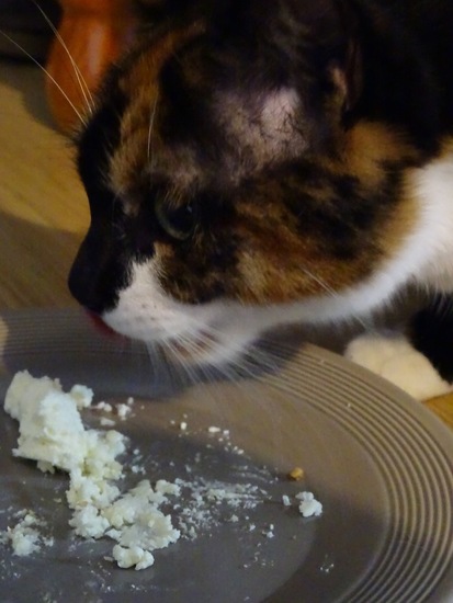 Weekend Sneek, febr. 2017