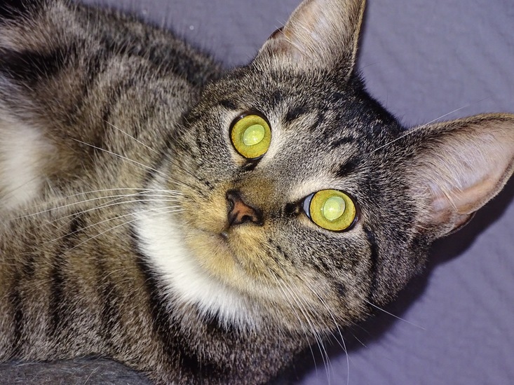 Weekend Sneek, febr. 2017