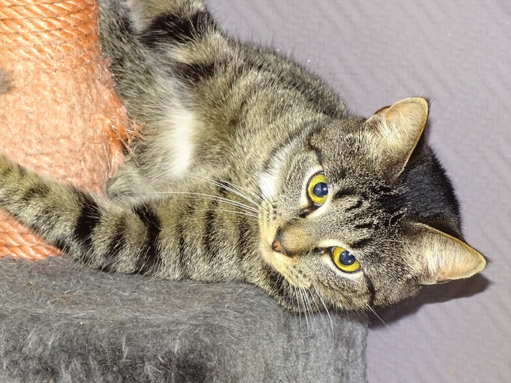 Weekend Sneek, febr. 2017