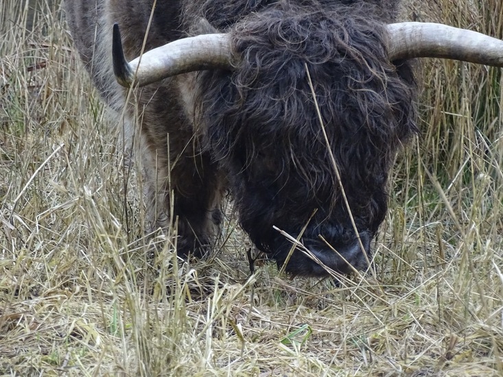 Weekend Sneek, febr. 2017