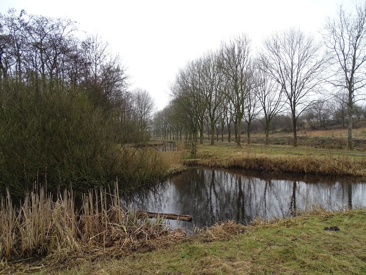 Weekend Sneek, febr. 2017