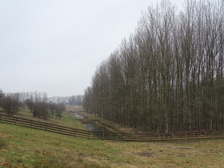 Weekend Sneek, febr. 2017