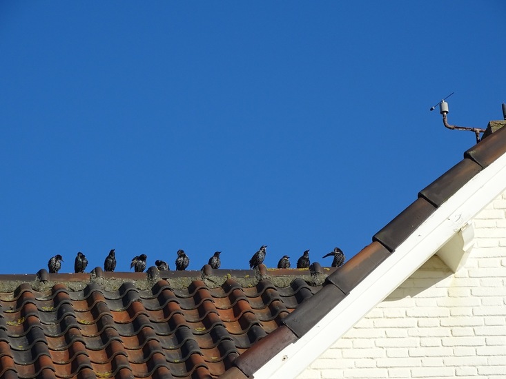 Zandvoort, sept. 2016.