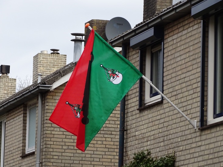Carnavalsvlag Rijen.