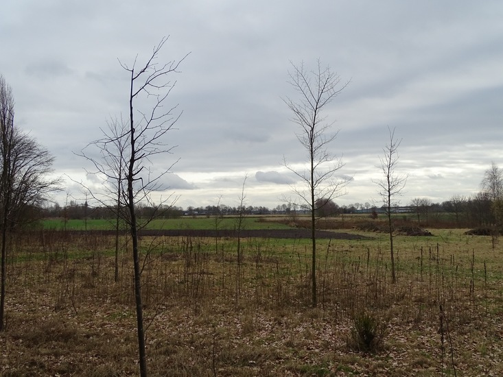 Langs het kikkerpad.