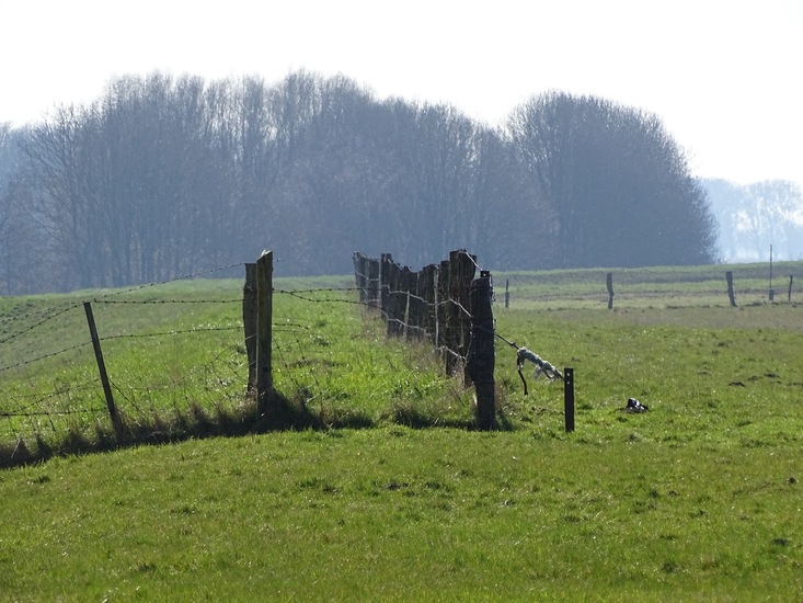 Mooi landschap.
