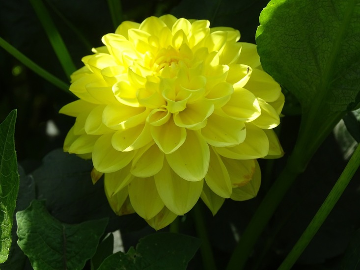 Groentetuin bij Beum.