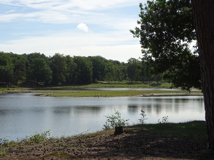 surae begin aug. 2017