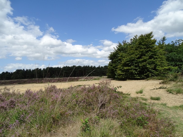 Militair oefenterrein.