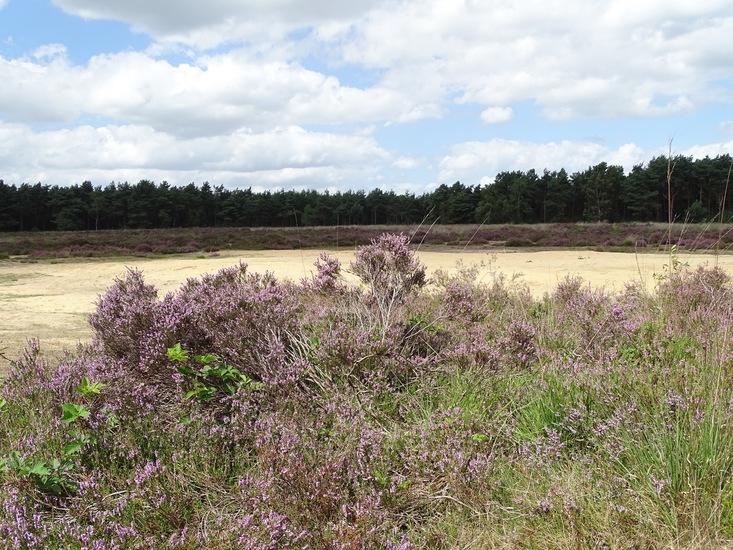 Militair oefenterrein.
