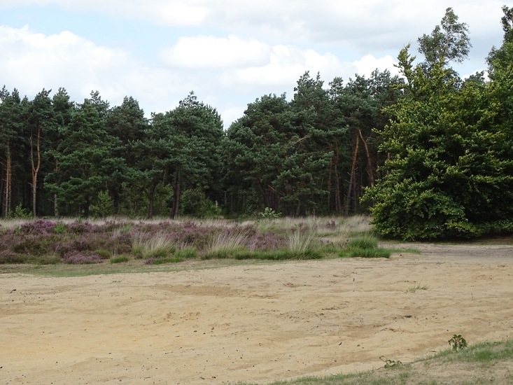 Militair oefenterrein.