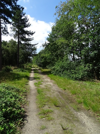 Militair oefenterrein.