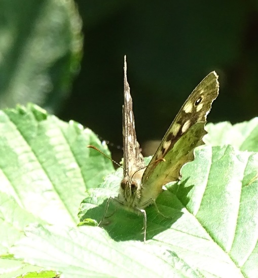 Militair oefenterrein.