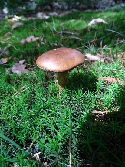 Begin aug. 2017 Surae.