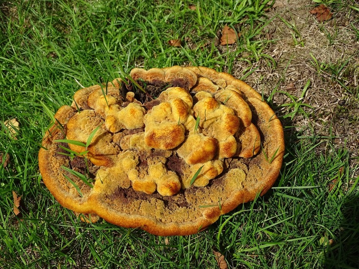 Begin aug. 2017 Surae.