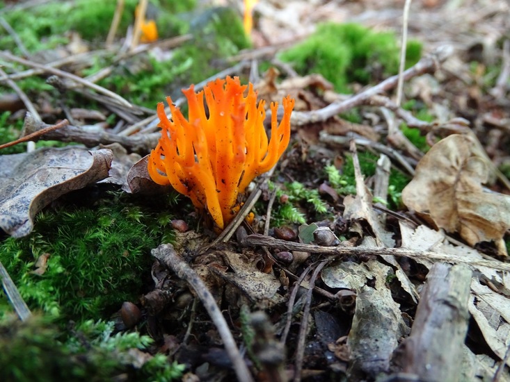 Begin aug. 2017 Surae.