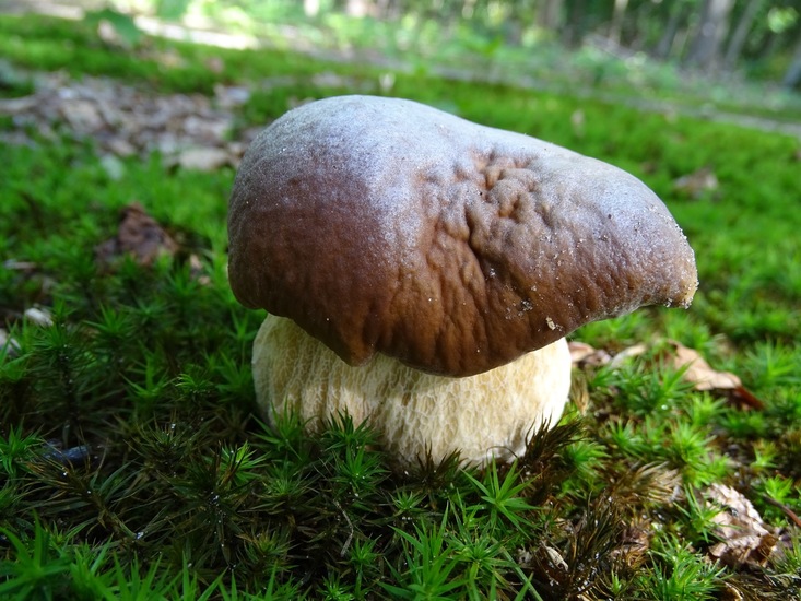 Begin aug. 2017 Surae.