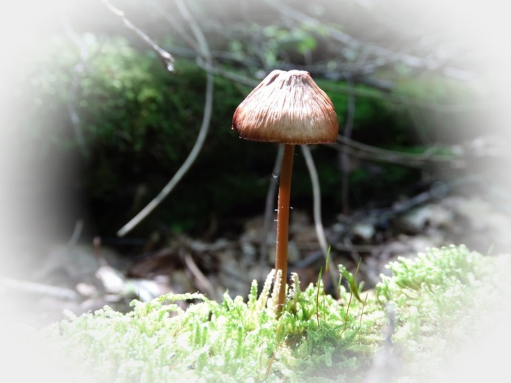 Begin aug. 2017 Surae.