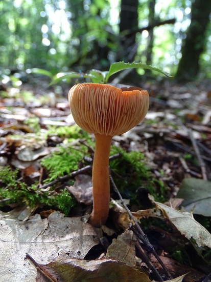 Begin aug. 2017 Surae.