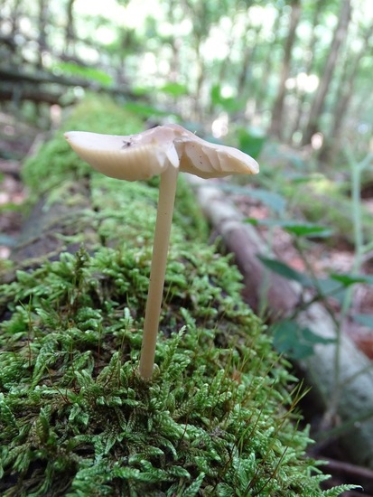 Begin aug. 2017 Surae.