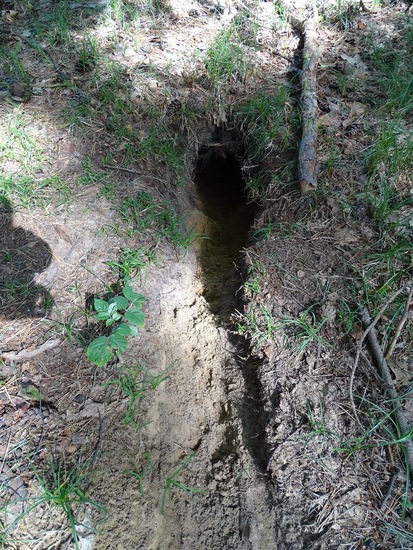 Begin aug. 2017 Surae.