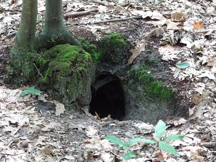 Begin aug. 2017 Surae.