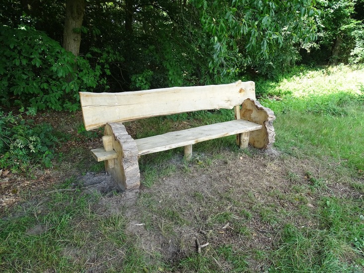 Heide bij Riel/Goiorle