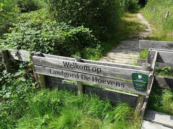 Heide bij Riel/Goiorle