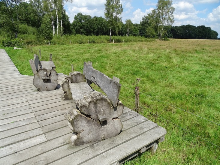 Heide bij Riel/Goiorle