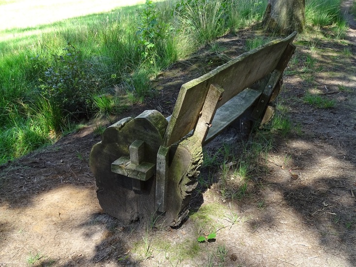 Heide bij Riel/Goiorle