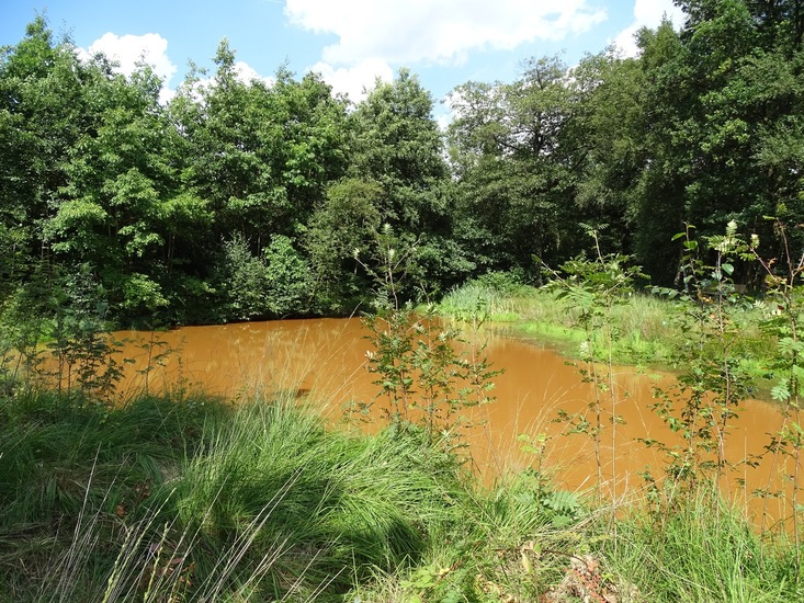 Heide bij Riel/Goiorle