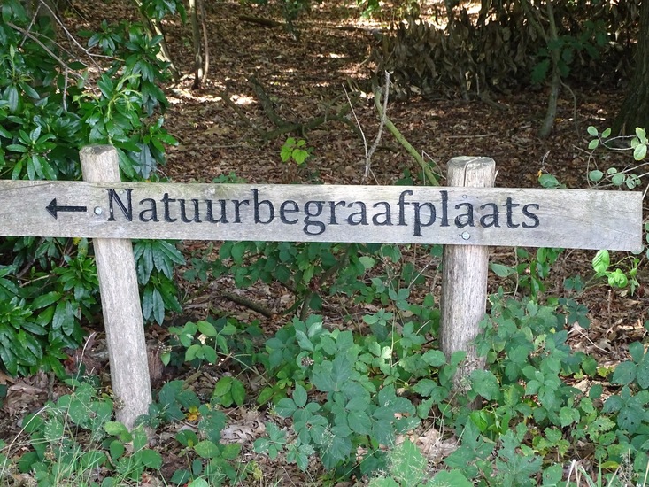 Heide bij Riel/Goirle.